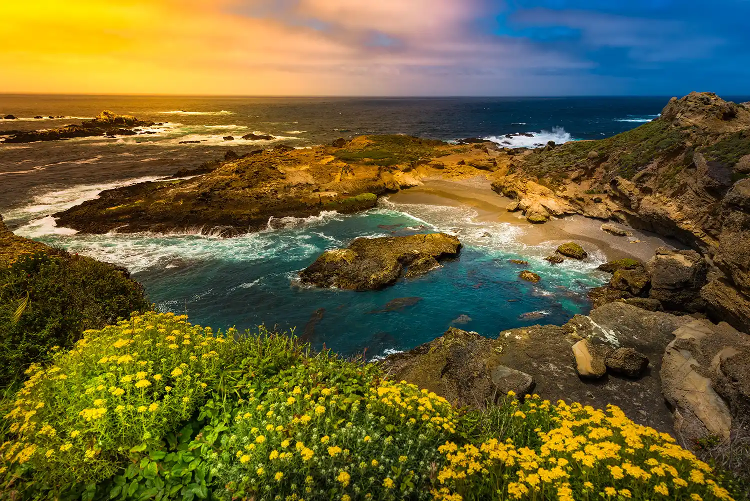 Point Lobos Hike